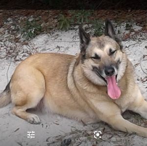 Meet your Posher, Warren